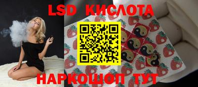 спайс Гагарин