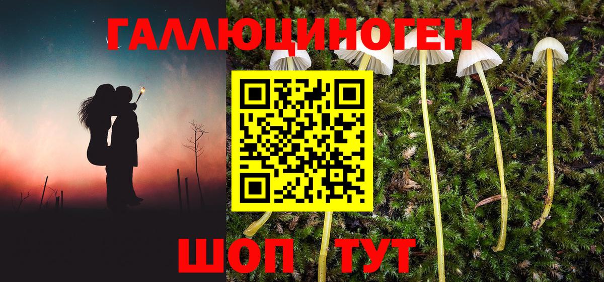 Галлюциногенные грибы GOLDEN TEACHER Губкинский