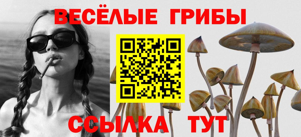 Губкинский  Галлюциногенные грибы ЛСД  Вход с VPN  Псилоцибиновые грибы Psilocybine cubensis 